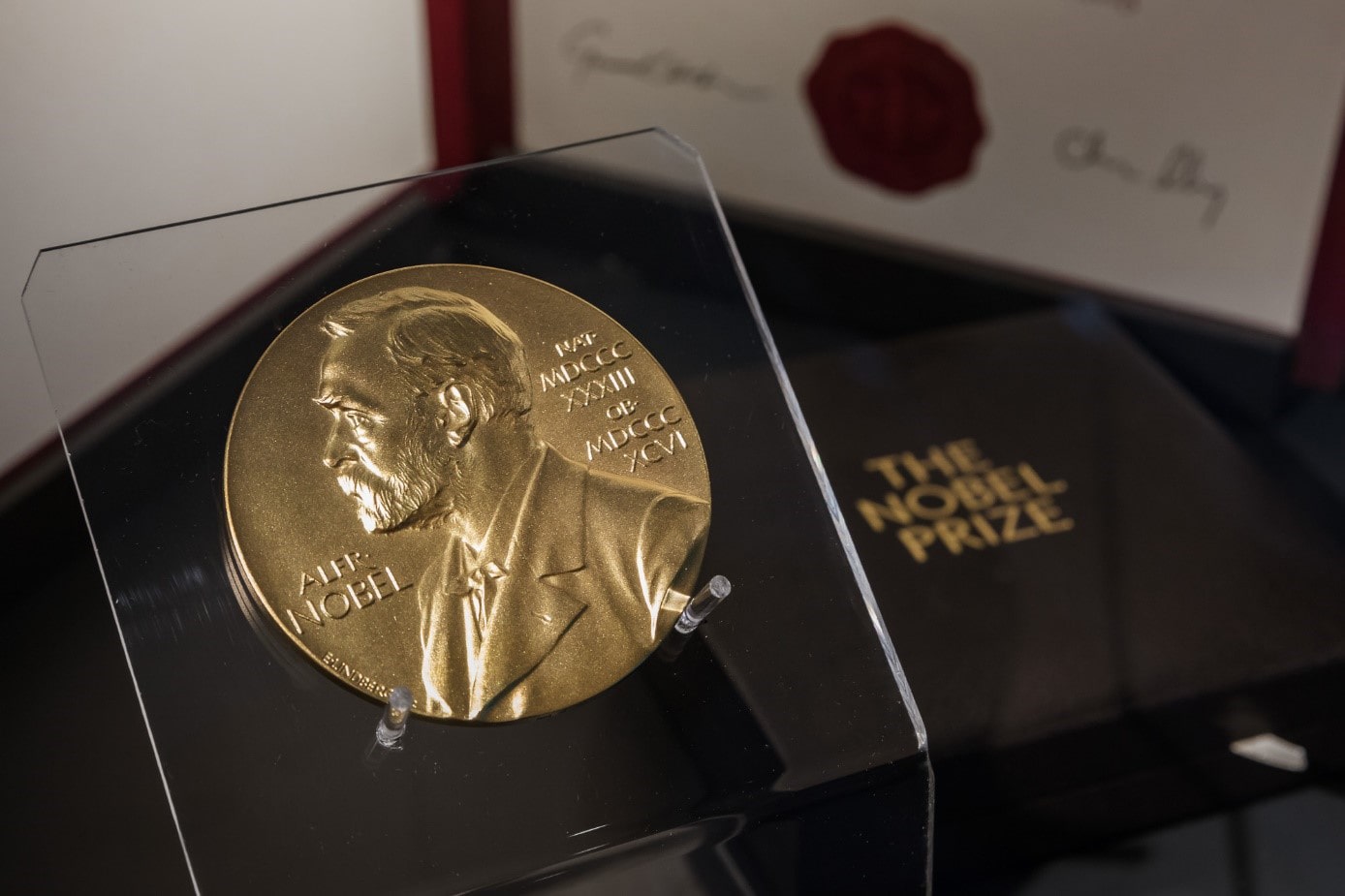 Nobel-díj, ikercsontváz és a világmindenség új értelmezése