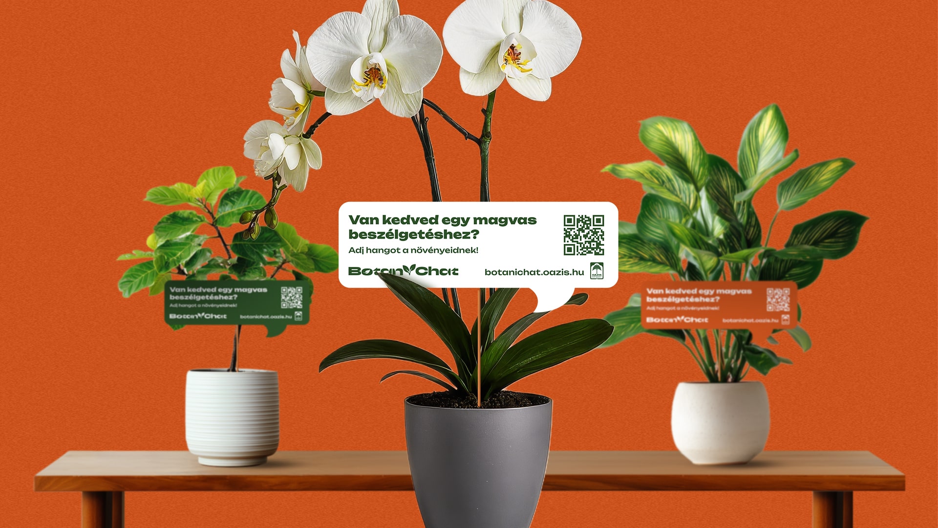 Itt a BotaniChat, amelynek segítségével beszélgethetünk a növényeinkkel